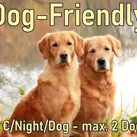 Ifen Am Hochgrat - Card - Dogfriendly オーバーシュタウフェン