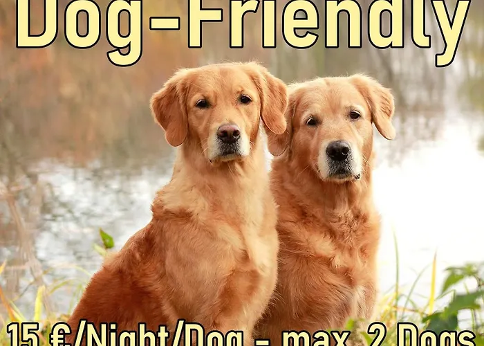 Ifen Am Hochgrat - Card - Dogfriendly Oberstaufen
